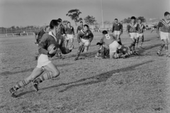 Don Newtown 1965.