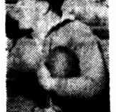L. Hogg 1945.