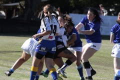North Newcastle vs Maitland United.