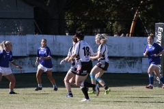North Newcastle vs Maitland United.