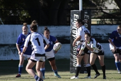 North Newcastle vs Maitland United.