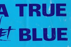 North Newcastle Sticker (3)