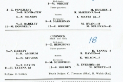 Pre Season Final 1980